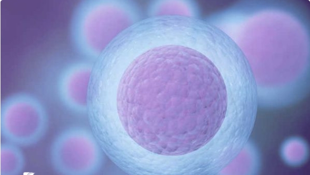 福建有沒有私立醫(yī)院可以做試管嬰兒的？