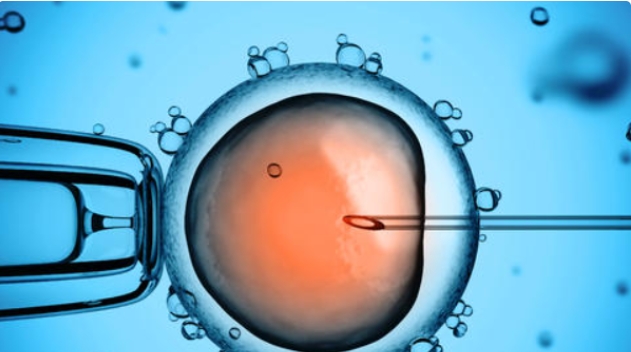 高齡女性準(zhǔn)備做試管嬰兒選擇哪種方案比較好？