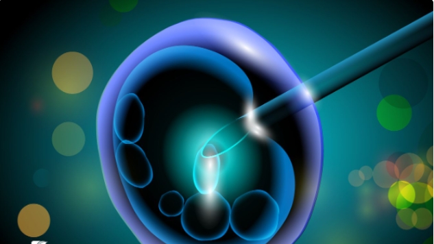 高齡對做三代試管的成功率有多大影響呢？