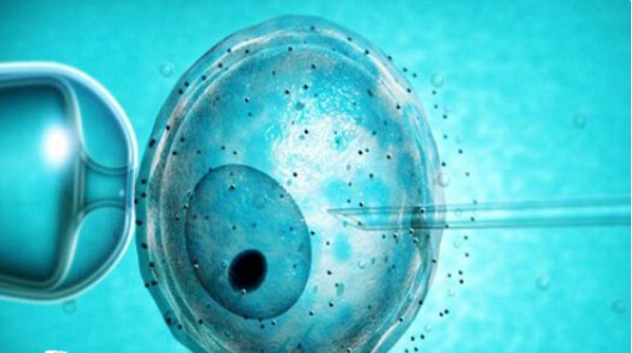 美國做試管嬰兒要個混血寶寶大概費用得多少？