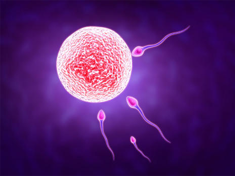 選擇醫(yī)院先查看醫(yī)院資格