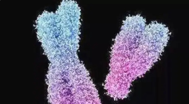 高齡做試管嬰兒有多高的風(fēng)險呢？