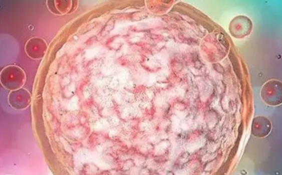 高齡女性想懷孕能不能做三代試管嬰兒？