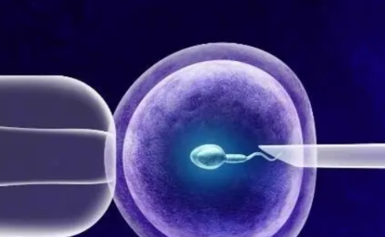 高齡試管成功率和自然懷孕幾率哪個(gè)高？