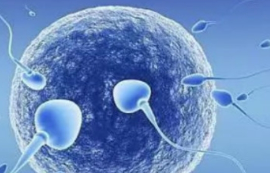 試管移植不成功的原因一般都有哪些？