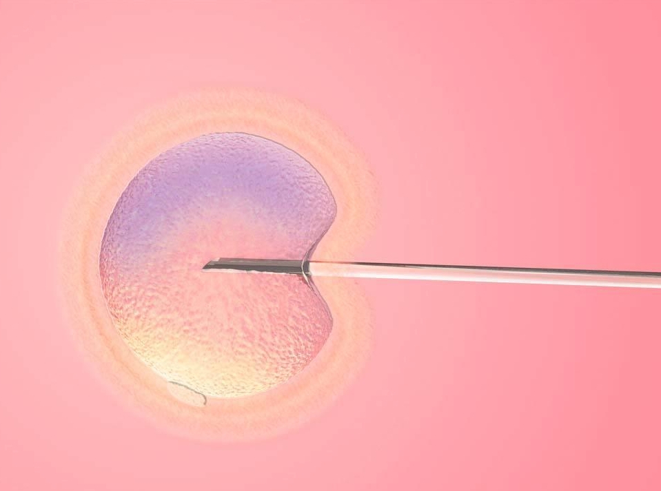 試管鮮胚移植成功表現(xiàn)有哪些？有沒有成功案例參考？