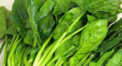 準(zhǔn)媽媽備孕期間不能吃什么