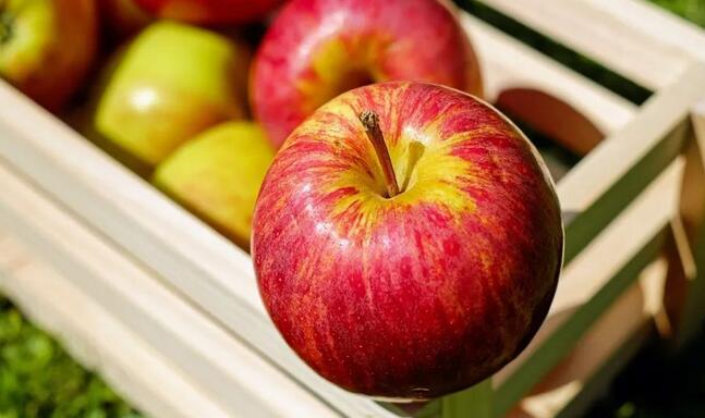 孕媽媽想改善孕吐，吃下這些食物可以緩解