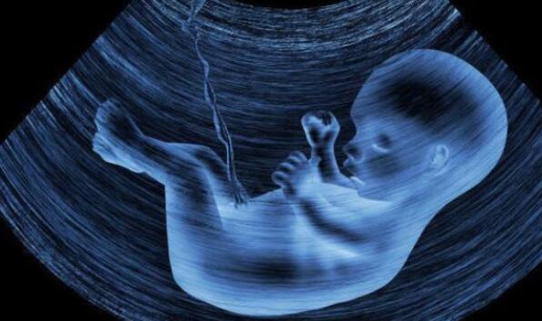 懷孕的三個時期多注意這些細節(jié)，胎寶寶才能健康發(fā)育