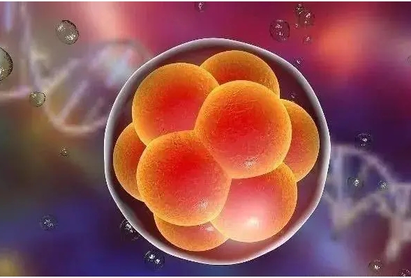 胎兒染色體平衡異位有沒有什么治療方法？