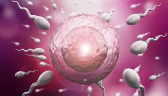 高齡做試管嬰兒要先檢查哪些地方？