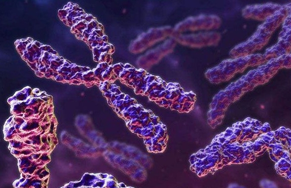 高齡女性做試管怎么讓移植著床速度快一些？