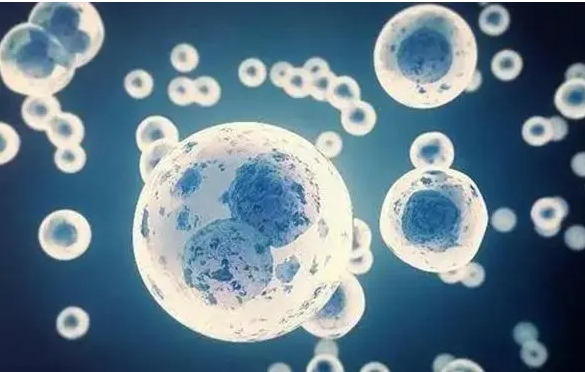 高齡做試管嬰兒之前應(yīng)該要做哪些準(zhǔn)備？