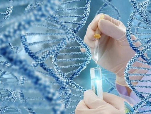 40歲高齡做試管嬰兒的成功率是不是很低？