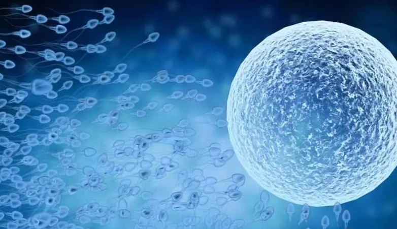 做試管嬰兒時(shí)amh水平應(yīng)該是多少？