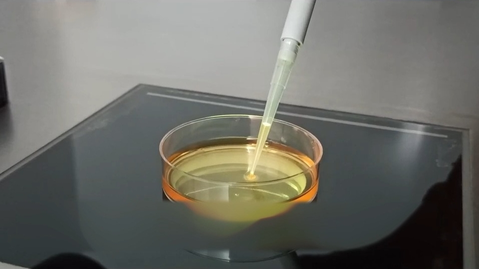 做完試管嬰兒手術(shù)后能獻血嗎？