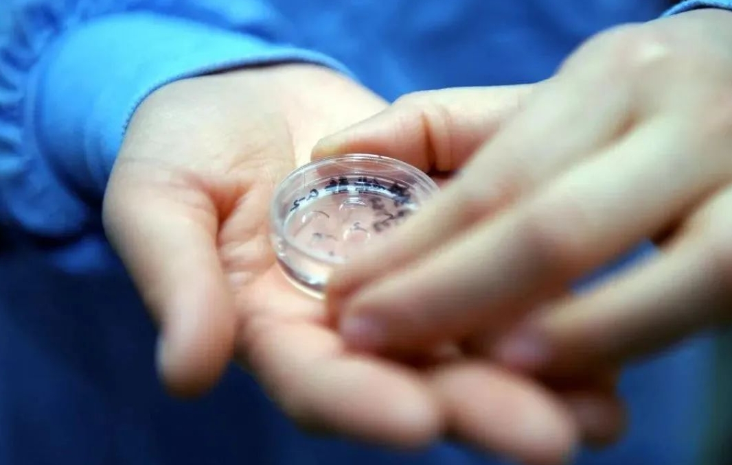 做試管嬰兒前熬夜會影響試管的成功率嗎？