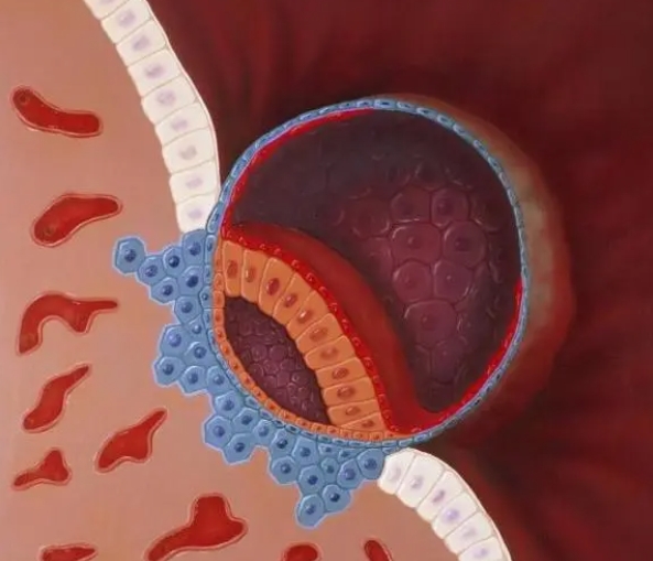 做人工授精手術(shù)前是不是必須要做輸卵管檢查？
