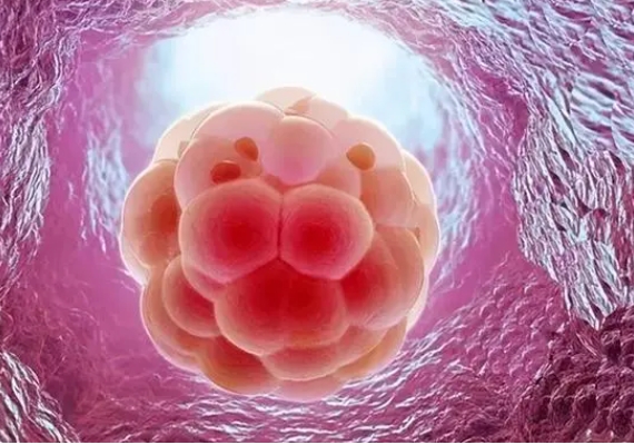 做試管嬰兒需要先做檢查再建檔嗎？