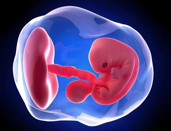 試管嬰兒人工周期和自然周期哪個(gè)更好？