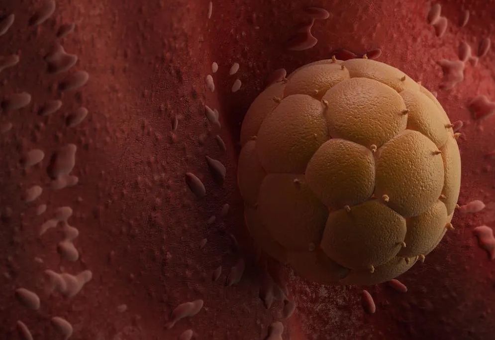 得過(guò)宮外孕后可以做三代試管成功懷孕嗎？