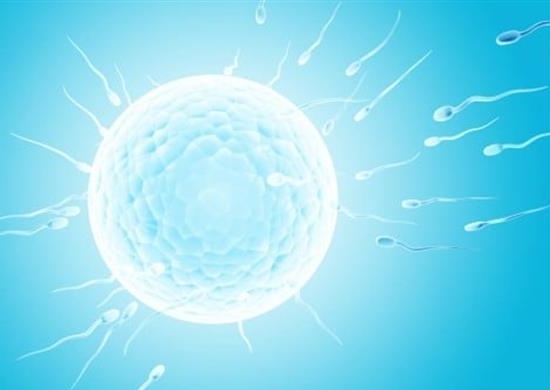 去醫(yī)院做試管嬰兒掛號的方法是什么？