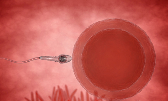 美國試管嬰兒的優(yōu)勢是什么？成功率高的原因是什么？