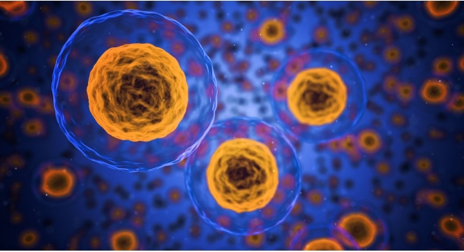  做試管嬰兒應(yīng)該掛普通號(hào)還是專家號(hào)？各有什么好處？