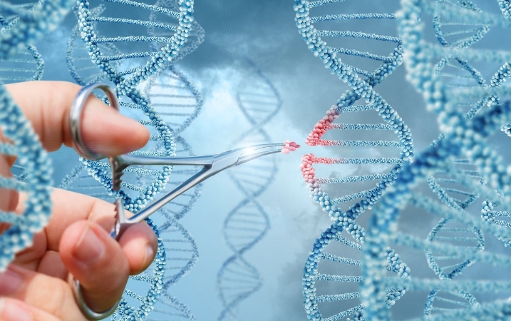 試管嬰兒囊胚移植后睡覺時體溫升高正常嗎？