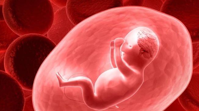 做試管嬰兒的完整周期是多長時間？