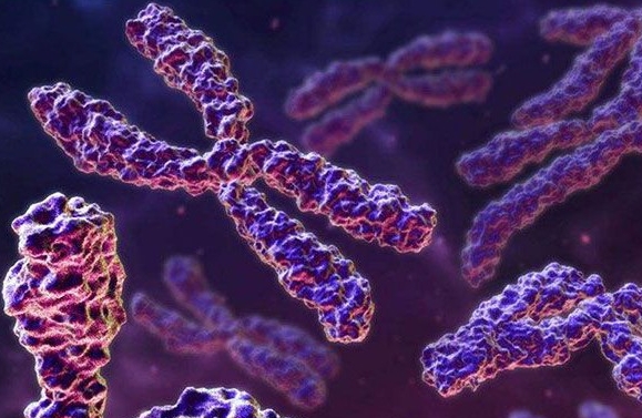 再生障礙性貧血患者可以做試管嬰兒嗎？