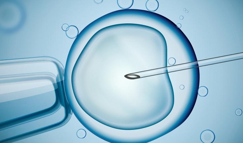 做試管嬰兒養(yǎng)囊要花多少錢？