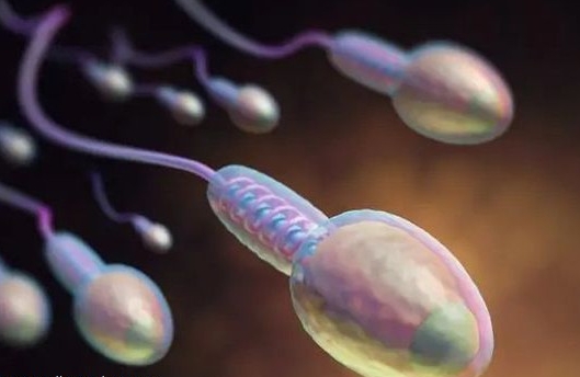 做試管嬰兒凍胚移植為什么要在下午做？