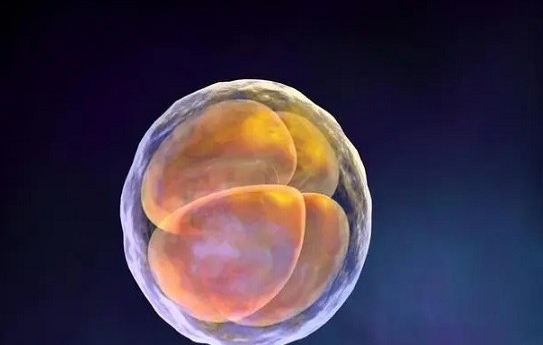 妊娠早期hcg數(shù)值漲得慢會(huì)影響胎兒健康嗎？