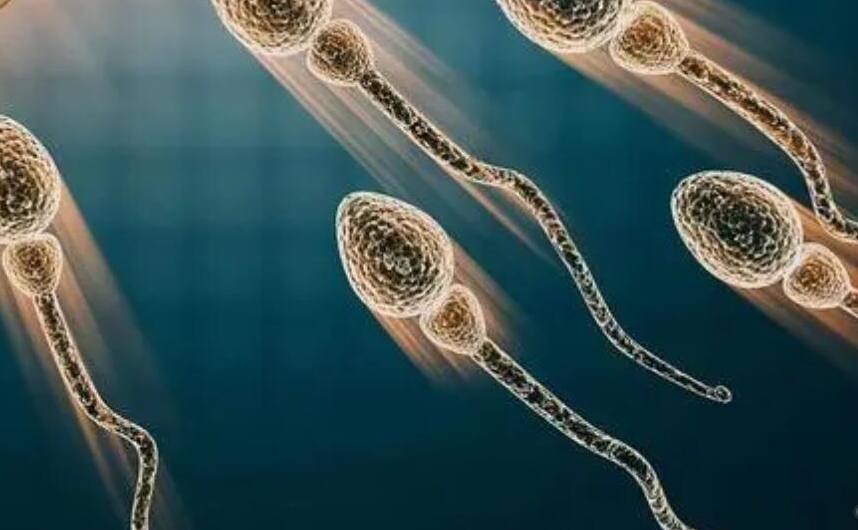 試管嬰兒凍胚移植的成功率有多高？