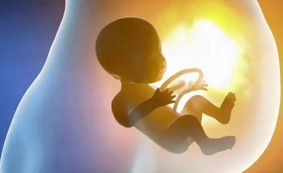 6bb囊胚和4bb囊胚的質(zhì)量哪個(gè)比較好？