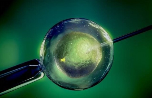 做試管為什么會失??？影響成功率的因素是什么？