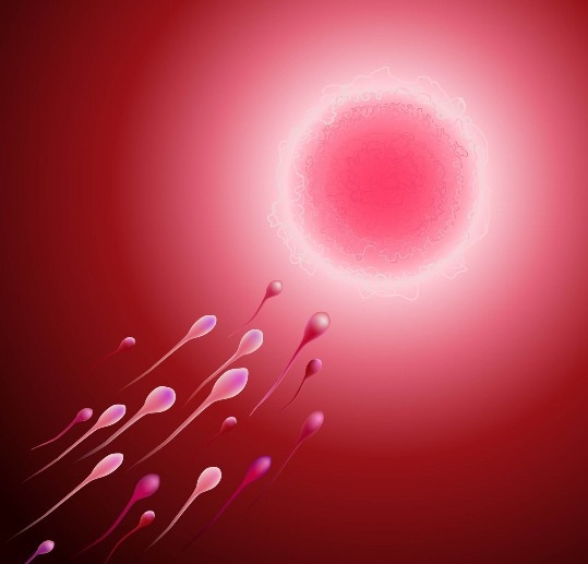 同一天移植鮮胚和凍胚的血值有區(qū)別嗎？