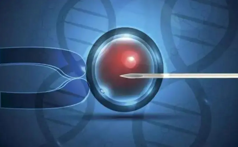 女性卵泡發(fā)育不好可以做試管嬰兒生育嗎？