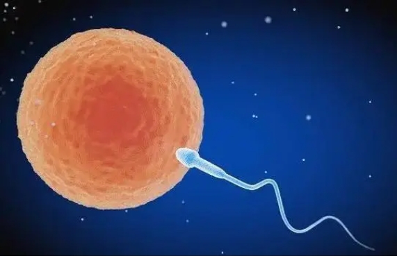 先天性子宮畸形的成因和治療方法是什么？