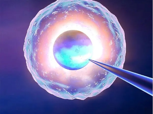 做試管嬰兒可以放雙胎嗎？要考慮哪些因素？