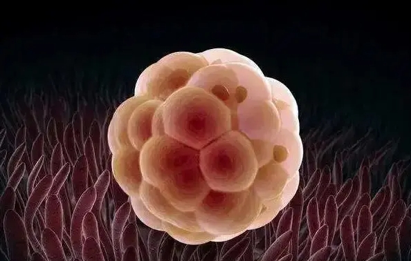 做試管凍胚移植前幾天發(fā)燒應(yīng)該如何處理？