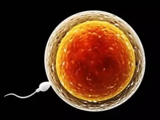 先天愚型患者可以做三代試管嬰兒嗎？