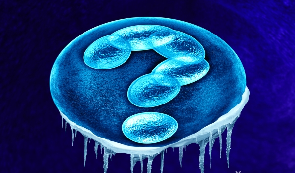 做試管嬰兒要帶哪些材料和證件？