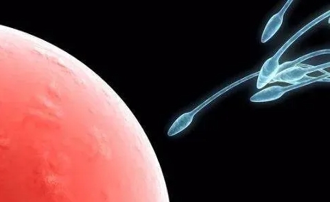 試管嬰兒費(fèi)用可以用醫(yī)保報(bào)銷嗎？