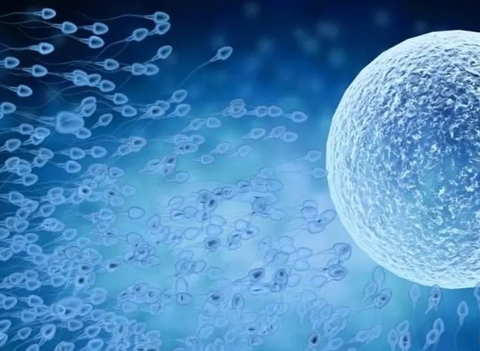 做試管嬰兒的限制條件有哪些？