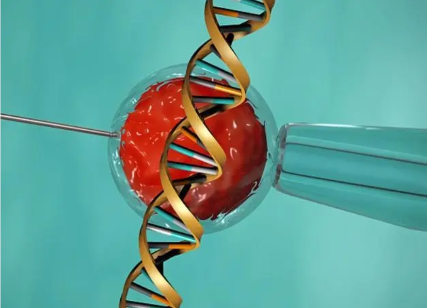 做試管嬰兒的女性能夠分泌母乳嗎？