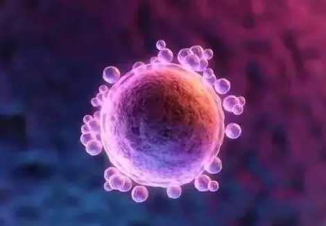 內(nèi)分泌紊亂的人做試管嬰兒可以成功懷孕生子嗎？