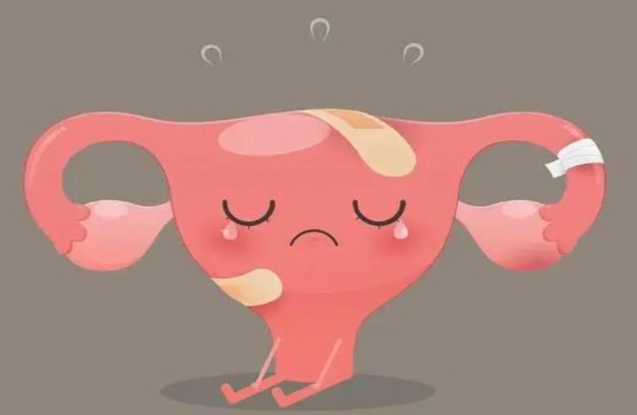 做試管嬰兒期間能不能吃樂宮寶？