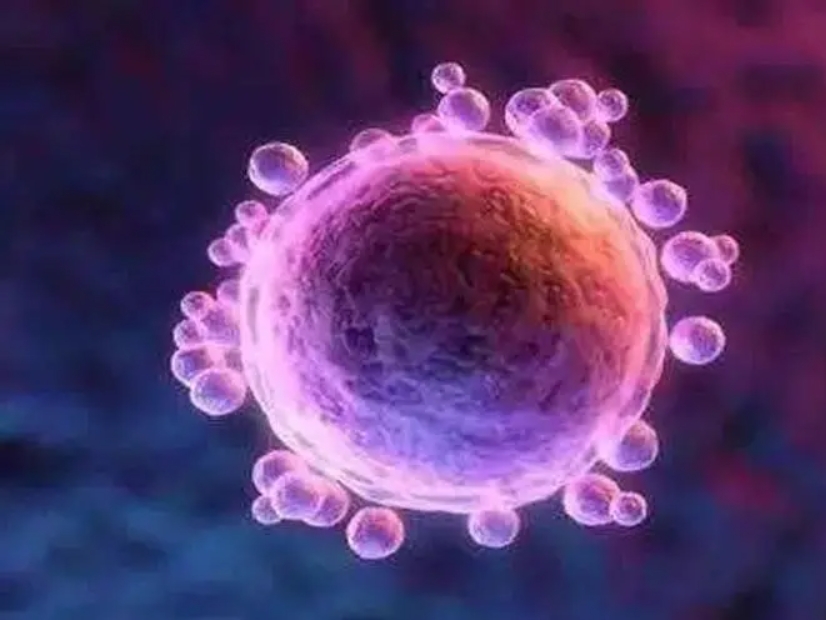 做試管嬰兒為什么需要移植兩個鮮胚？